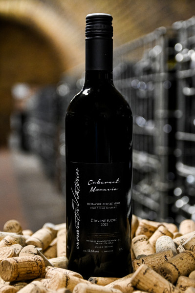 Cabernet Moravia 2021
